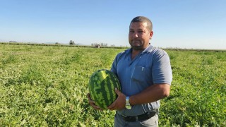 Kadirli’li Çiftçiler Masrafını Çıkaramadı, Halka Bedava Karpuz Verdi