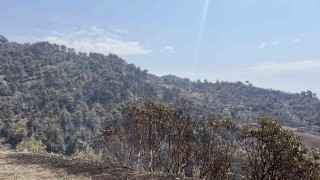 Kahramanmaraşta bin 500 hektar alanı etkileyen orman yangını kontrol altına alındı