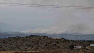 Kahramanmaraşta orman yangını