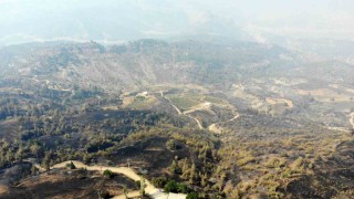 Kahramanmaraşta orman yangınına müdahale 3üncü gününde de sürüyor