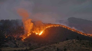 Kahramanmaraşta orman yangınına müdahale sürüyor
