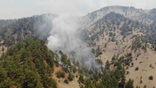 Kahramanmaraşta orman yangınına müdahale sürüyor