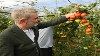Kahramanmaraşta topraktan sofraya bereket zincirine destek