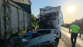 Kamyonundaki arızayı kontrol için inen sürücü başka bir kamyonun altında kaldı