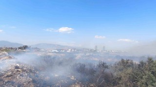 Kanal kenarında çıkan yangın rüzgarla geniş alana yayıldı