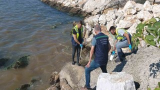 Kanalizasyonu denize deşarj eden Yalova Belediyesine 1.3 milyon lira ceza