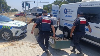 Kanserle savaşını kazandı, trafikte hayatını kaybetti