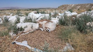 Kapadokyada valiliğin uyarısını dinleyen olmadı