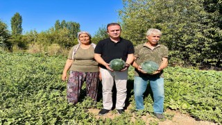 Karabağlar Yaylasında tarımsal projeler yerinde incelendi