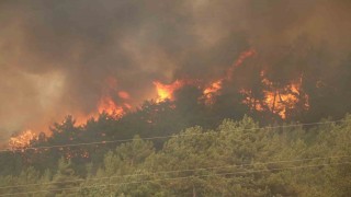 Karabükte 29 saattir süren orman yangını yeniden alevlendi