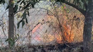 Karabükte çıkan anız yangınında 25 dönüm alan zarar gördü