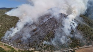 Karabükte orman yangını
