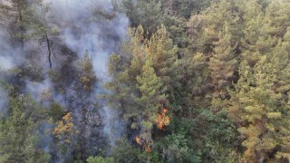 Karabükte orman yangını 69 saattir sürüyor