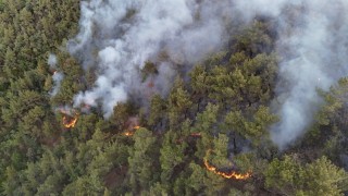 Karabükte orman yangınına müdahale 6 saattir aralıksız sürüyor