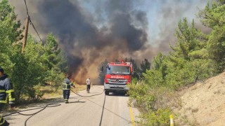 Karabükte orman yangınında iki mahalle tahliye edildi