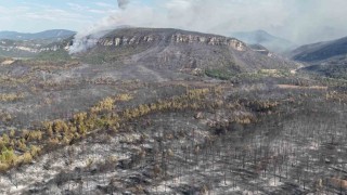 Karabükte orman yangınlarındaki yürek burkan tahribat havadan görüntülendi