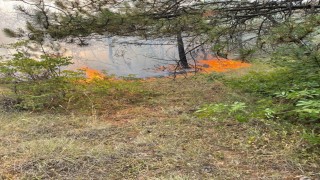 Karabükte ormanlık alanda örtü yangını