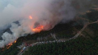 Karabükte yeni orman yangını