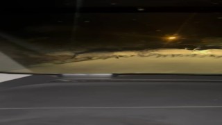 Karabükte yola çıkan domuz sürüsü ve tilki kamerada