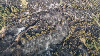 Karabükteki orman yangını 12 saatte kontrol altina alındı