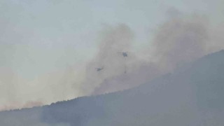 Karabükteki yangın 4. gününde