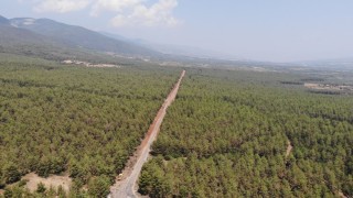 Karacasuda ormanlarda sıkı denetim