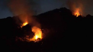 Karadeniz Ereğlideki orman yangını 3,5 saat sonra kontrol altına alındı