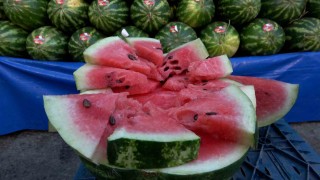 Karpuzun yıkanmadan kesilmesi salmonella riskini artırıyor