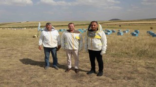 Karsta 2025 yılında bin 800 ton bal rekoltesi beklentisi