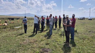 Karsta büyükbaş hayvanlar aşılanıyor