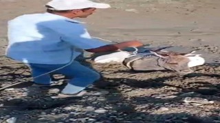 Karsta çamura saplanan eşek kurtarıldı