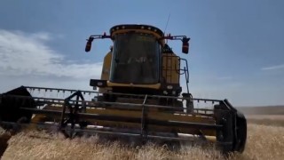 Karsta hasat mevsimi başladı