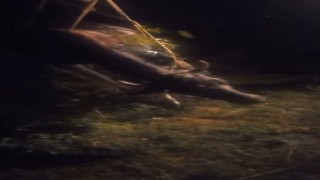 Karsta kayalıktan düşen inek kurtarıldı