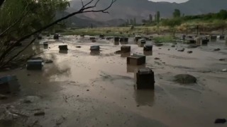 Karsta sel felaketi: Arı kovanları sular altında kaldı
