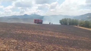 Kartalın elektrik tellerine çarpmasıyla başlayan yangın büyümeden söndürüldü