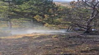 Kastamonuda ormanlık alanda çıkan yangın büyümeden söndürüldü