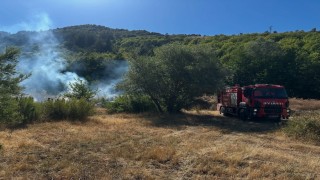 Kastamonuda ormanlık alanda çıkan yangın büyümeden söndürüldü
