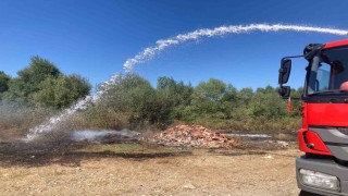 Kavakta ot yangını korkuttu