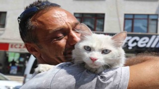 Kayıp kedisine günler sonra kavuştu, bu kez mutluluktan ağladı