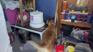 Kayseride 1 kilo 550 gram uyuşturucu ele geçirildi