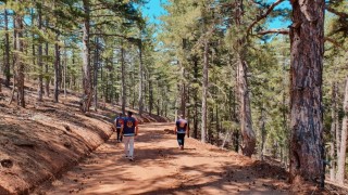 Kayseride ormanlar jandarma tarafından korunuyor