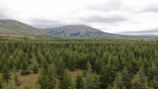 Kayseride ormanlara giriş ve çıkışlar yasaklandı