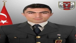 Kayseriye şehit ateşi düştü