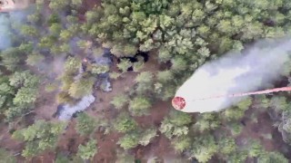 Kazdağlarında çıkan orman yangını kısa sürede kontrol altına alındı