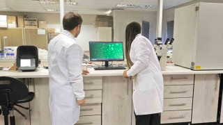 KBÜ Doktora Öğrencisi Güney Afrikada kanser araştırmalarına katıldı