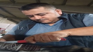 Kedinin imdat çığlığına şef yetişti