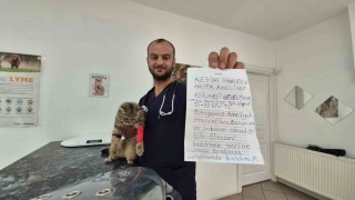 Kediyi not yazıp çanta içinde veteriner kiliğinin kapısına bıraktılar