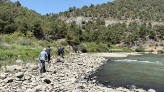 Kelkit Çayında kaybolan genç kızın cansız bedenine kuzgunlar sayesinde ulaşıldı