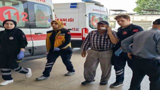 Kendini serinletmeyen bahçıvanı darp etti