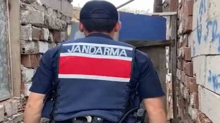 Kırıkkalede evin bahçesinde bin 53 kök kenevir ele geçirildi: 2 gözaltı